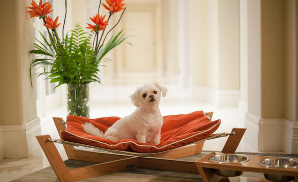 LAFDesigns's tweet image. Presenting Pet Lounge Studios! Eco-friendly products to keep our environment, style &amp;amp; home deco a priority! #eco