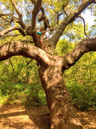 Happy Earth Day!!! ??? Feel free to hug a tree ?

#EarthDay #EarthDay2014 #EarthDayEveryday #Love #Nature