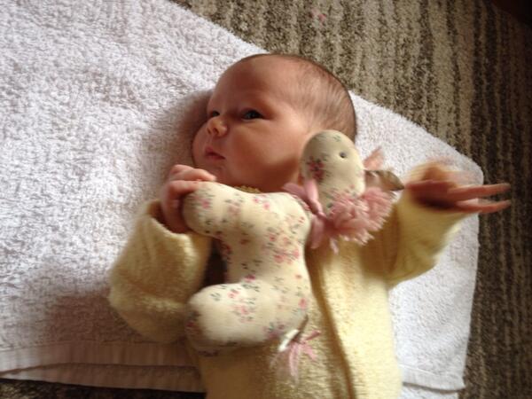 krickbaker's tweet photo. Elizabeth managed to pick up the pony from beside herself! http://t.co/ycbaG31ANI