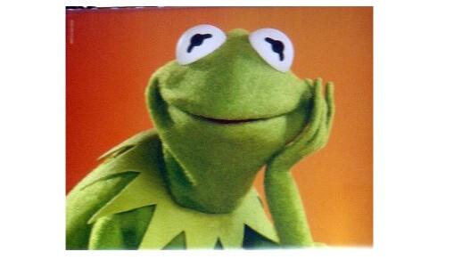 yungkermit's tweet photo. When she don't come through with booty pics. http://t.co/j7Kdz3mwi2