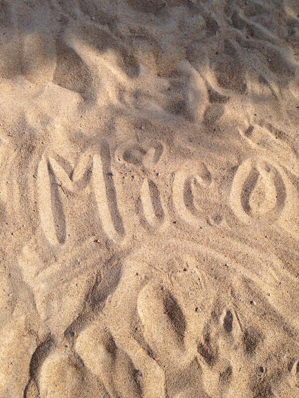 ValeriaTC_'s tweet photo. De parte mía y de @alinedesotoxD ☺️ los amamos y los admiramos mucho! @MICOmusic @jalilmusic @el_Jay_Co 💕 http://t.co/apoOEx8eUP