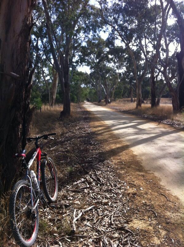 Beautiful morning for a ride. #fresh