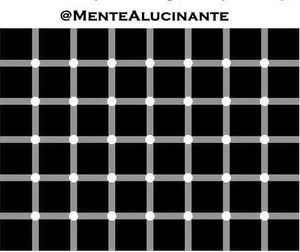frequiito14's tweet photo. Observa los puntos negros http://t.co/iQ9ue2t2kU"