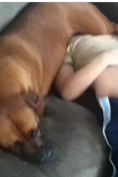 Nikkitheboxer's tweet photo. Hi guys! #boxers #boxersoftwiter http://t.co/1GBXRPpehq