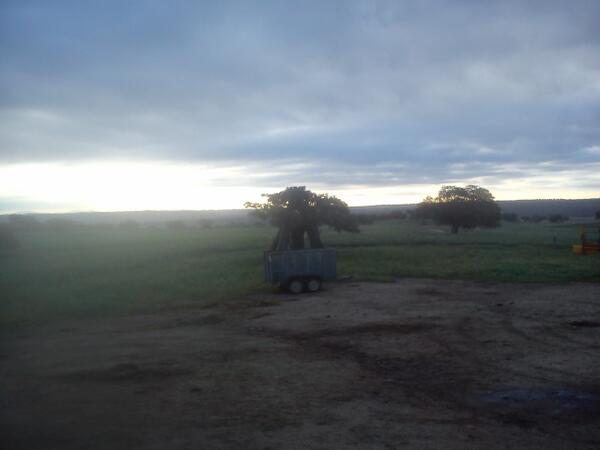 sebasmadridp's tweet photo. No hay nada parecido a levantarse y ver como amanece escuchando la fauna!! http://t.co/C0ExfJTTdk