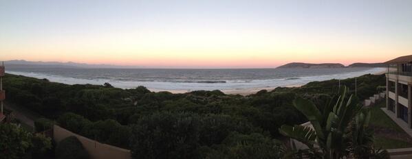 CroftyMac's tweet image. Plett!