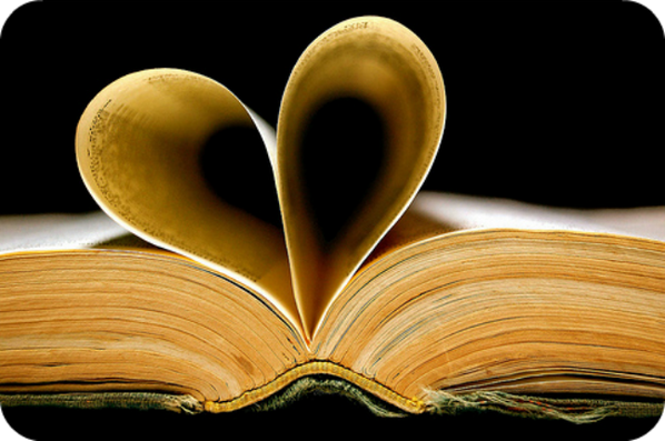 SET 2024 tweet media