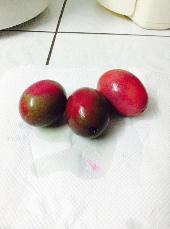 kumamonom's tweet photo. Tie - Dye eggs. 😍 Yaaay!!! Made this with my sister for Easter. 🌻🙊🐰 #EasterWithBeth @BethanyMota http://t.co/c6MhoOXNH9