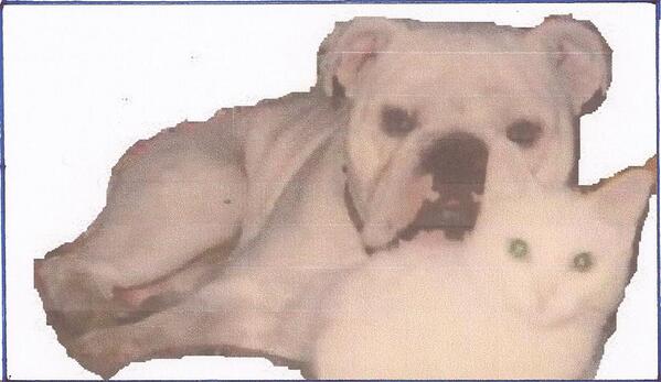 ViottoAlex's tweet image. Bulldog Chopper e Fuffy Cat 
Rappacificati è bello! Insieme conviene!
"Todos es nada!"