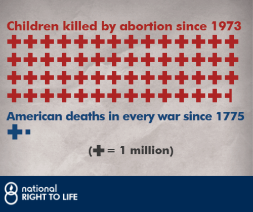 nrlc's tweet image. An estimated 56 million unborn children have been lost to abortion. Now is the time to stand for life! #prolife