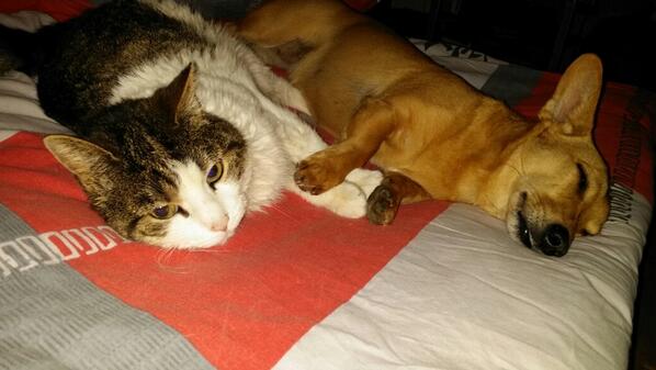 Meine Hundefreundin Phoebe ( <a href="/DieNudlis/">DieNudlis</a>  )