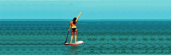 PaddleboardXPLR's tweet image. SUP manufacturers and designers - we want to represent and sell your #paddleboards. Contact at paddleboardexplorer.com