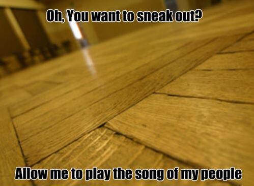 funnypictures02's tweet photo. http://t.co/5kW97up2X3