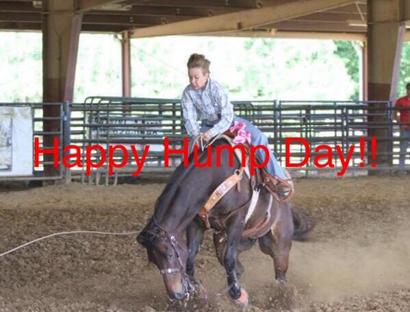 jd_malone's tweet image. Hump Day is Almost Over!!