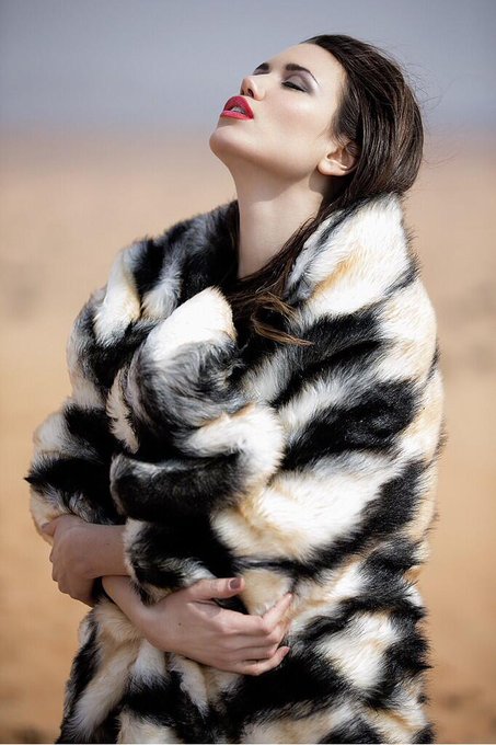 It is getting night here 😸✨... actually i love to spend them in the desert 🌟... this pic was taken for