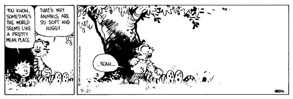 Calvin And Hobbes Auf Twitter When Ever You Have A Bad Day Your Animals Are Always There In The End To Cheer You Up Http T Co Jsqkxnfn3o