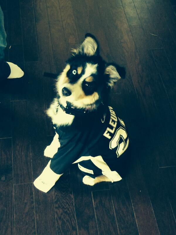 tim57tom's tweet image. Let's go pens