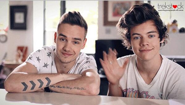FamousMeat's tweet image. Liam Payne posing with Harry Styles' voluminous hair.