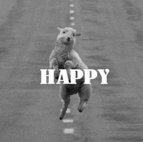 YoursTrulySofia's tweet image. "@FrankieJGrande: #4daysuntilproblem http://t.co/6VOA9tXv5u" I'M SO EXCITED!!!