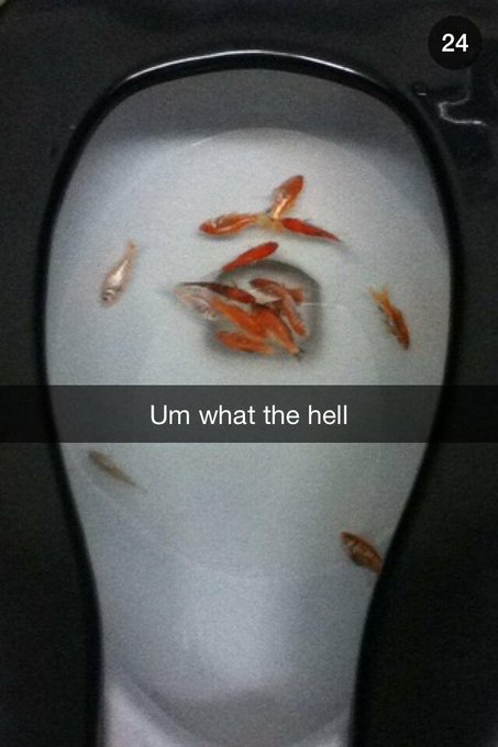 oh fruitport 😁 http://t.co/pkDvznSvB7<a href="/tag/bigboobperks"class="tags"><span>#bigboobperks</span></a>