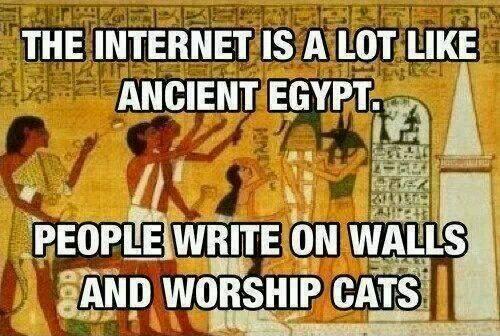 sidneyy_lea's tweet photo. Reminded me of @TessTaylor1 lolol #catladyprobs http://t.co/zYWFVJ0xD9