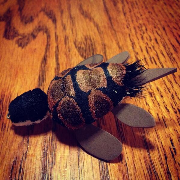 mainstreamflyco's tweet image. Trying out some deer hair turtles. Anyone think I should sell them?