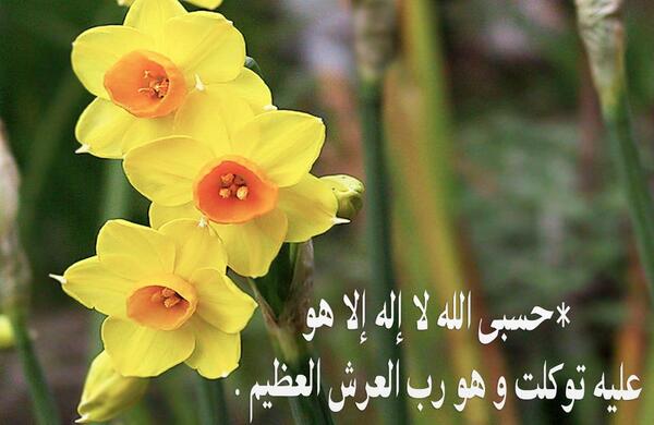 نونا Alotai6i Twitter