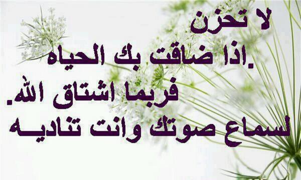 sohalad tweet picture