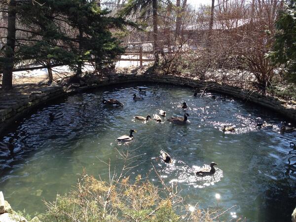 I found my new honey hole!