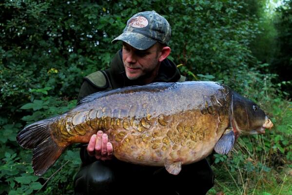 ccmoore_baits's tweet image. bit.ly/Q02UEe Greg's beautiful UK 40+ caught on THE nuts. @ccmoore_baits @CarpTalkMag @UKCarp @FishingUKapp