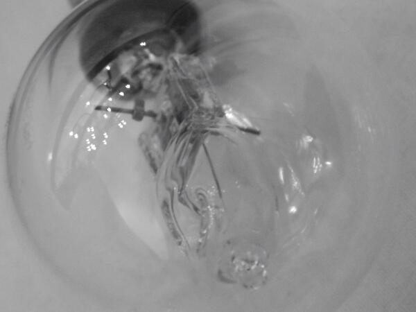 DispersionLPAC's tweet image. As part of our research.. We are looking close up inside a light bulb! Here it is...