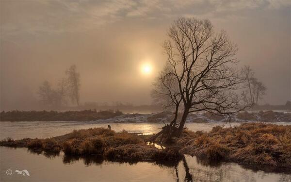 Gabriele_Corno's tweet image. Mystic river by Rudolf Rinner