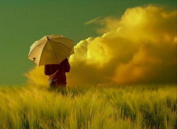 Gabriele Corno tweet media