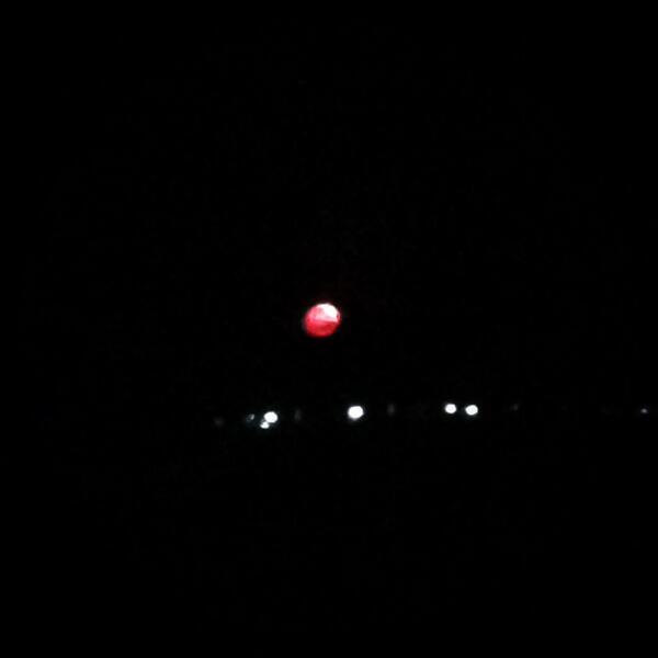 #moon #onlythestrongsurvive