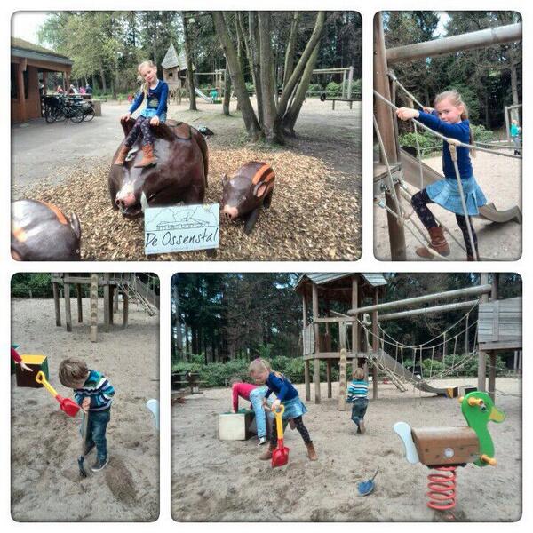 merlijn_vos's tweet photo. @ossenstal het was gezellig! http://t.co/tOxvPO5YDa