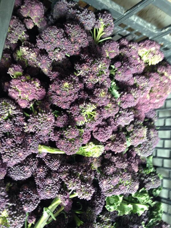 Will Devlin tweet media