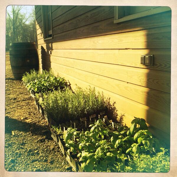 Pizza and Herbs 2014 Spring is here! #mdwine
