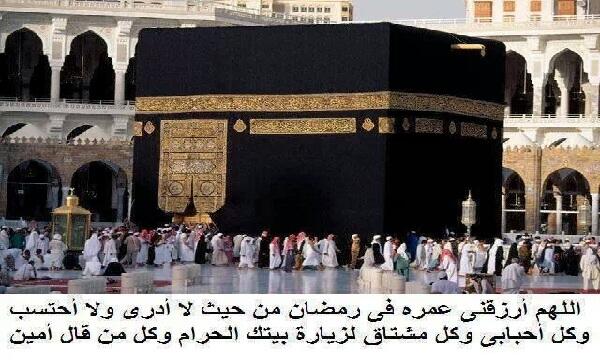 mojazalanbaa's tweet photo. http://t.co/ALBjJ2Xbt3
