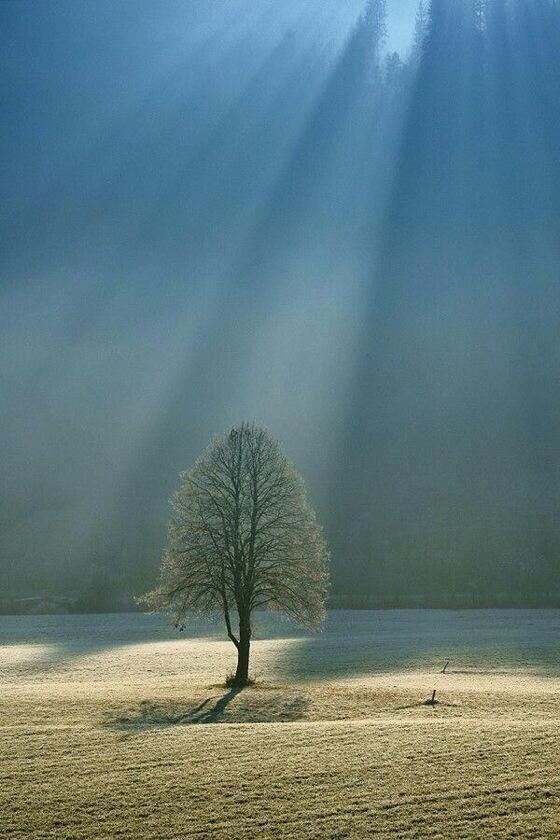 Reflejo_deLuna's tweet photo. LA SOLEDAD,ES UN SINTOMA EXTERNO,NACEMOS CON ALMA Y CORAZON SUFICIENTEMENTE DOTADOS PARA DARNOS Y COMPARTIR FELICIDAD http://t.co/kHoMC1gFoZ