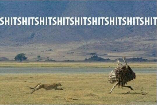 3hunna152's tweet image. Kids at #ProjectNat be like