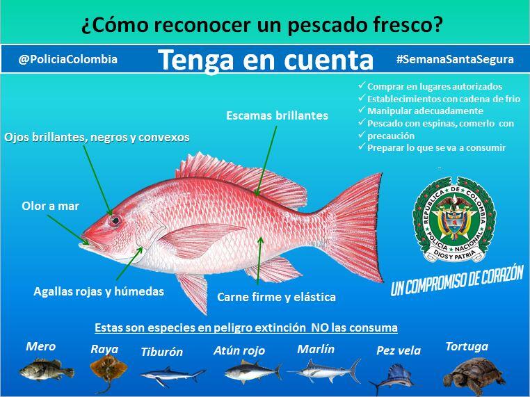 Cómo reconocer el pescado fresco 