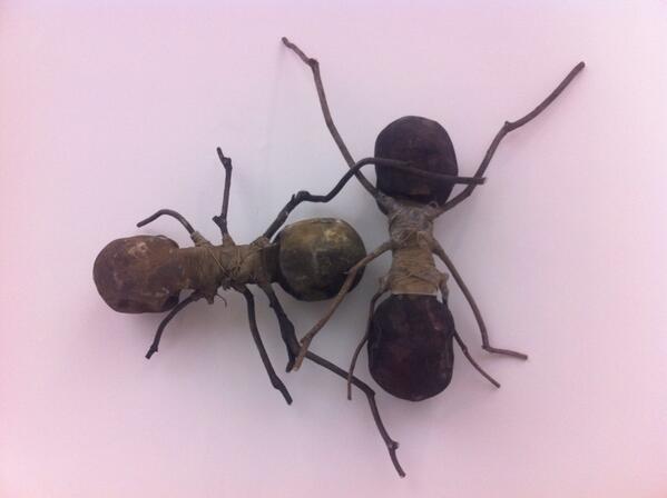 #

############

#

 X