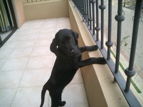 PH_TimmyPhillip's tweet photo. http://t.co/HbZMoBynMk