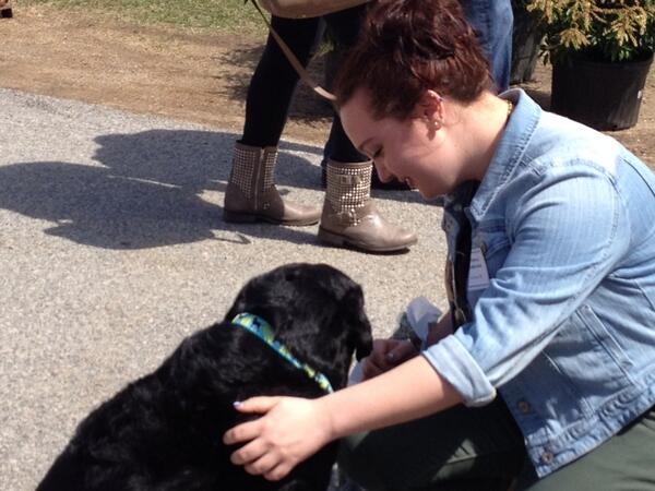#bentleyoh PresidentLarson's trusty Lab Teak gets some love from a Bentley accepted student!
