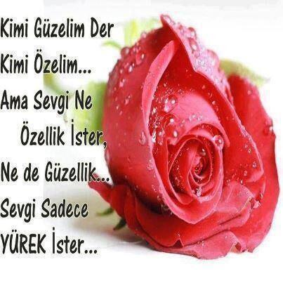 kenan atalay (@kenanatalay6) on Twitter photo 