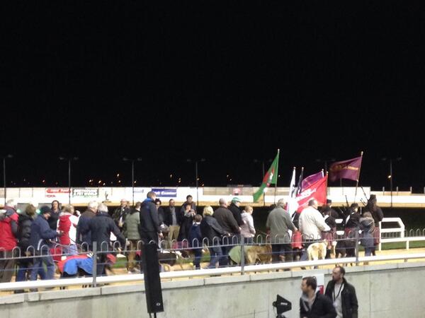 eva_Limerick's tweet photo. greyhounds and art at limerick Greyhound Track #humbertovelez @Limerick2014 #AGITATIONISM http://t.co/NSYazF9RJQ