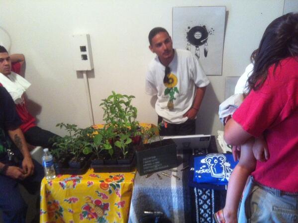 BCGCproject's tweet photo. Busy bees keep buzzing!
#WereBack :) http://t.co/BiJlh3tIXW