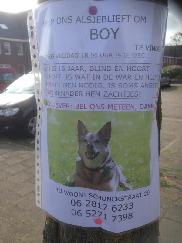 GerryNijhuis's tweet photo. BOY VERMIST,16JR,BLIND 
SLECHTHOREND..BENADER VOORZICHTIG, IS ANGSTIG,omg Schonckstr NIJMEGEN https://t.co/J9ppoe1o0O http://t.co/C7VckzimGB