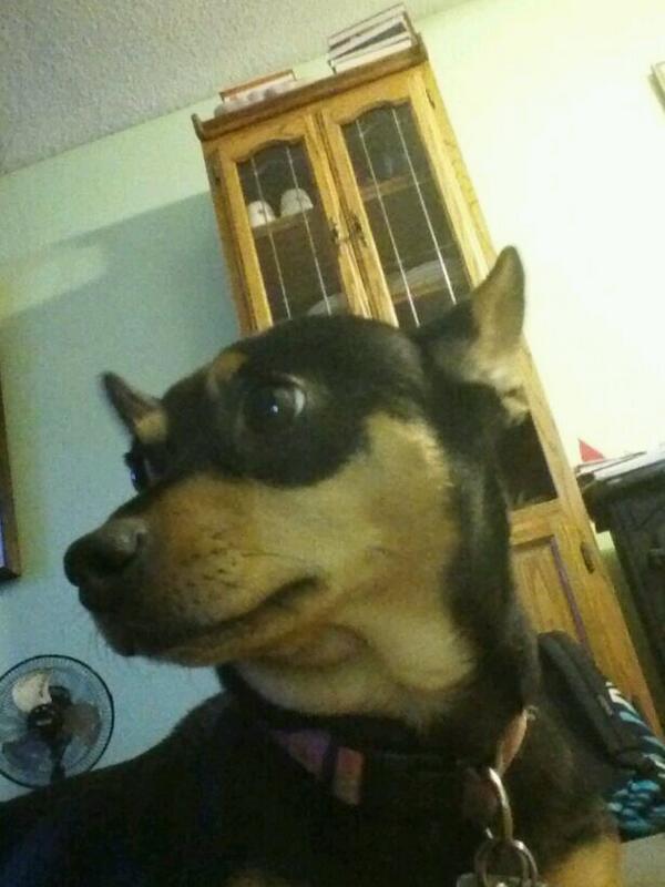 Spring Break... almost over :'( I don't wanna go back to school