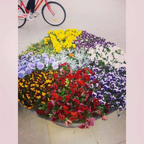 예뽀예뽀 🌹🌹💠💠